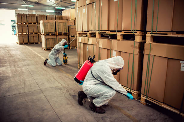  Woodbury, NY Pest Control Pros