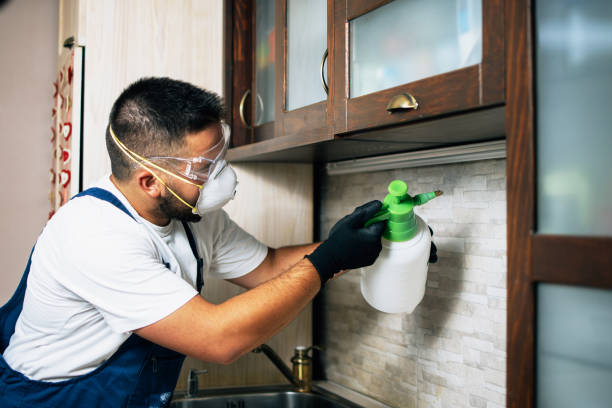 Best Pest Inspection Near Me  in Woodbury, NY