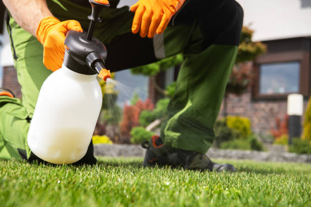 Best Residential Pest Control  in Woodbury, NY
