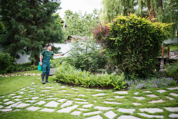 Best Affordable Pest Control Services  in Woodbury, NY