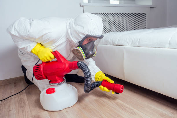 Best Termite Control Services  in Woodbury, NY