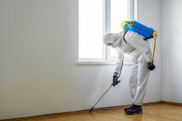 Best Bed Bug Extermination  in Woodbury, NY
