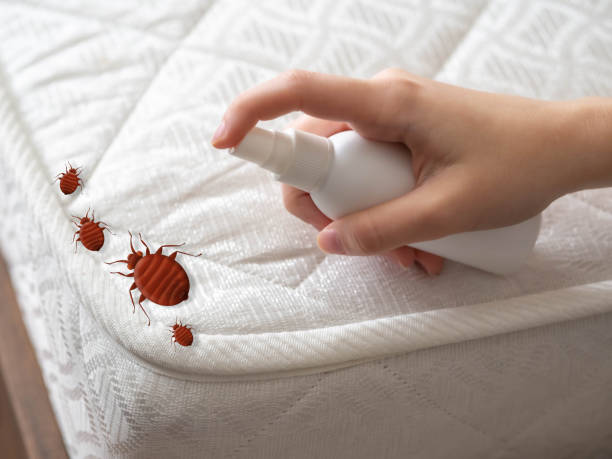 Best Flea Control Services  in Woodbury, NY