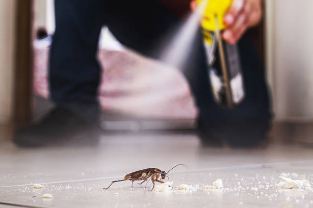 Best Exterminator Services  in Woodbury, NY