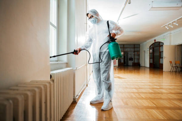 Best Best Pest Control Companies  in Woodbury, NY