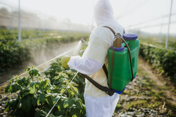 Best Mosquito Control Services  in Woodbury, NY